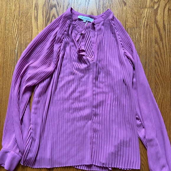 Anthropologie endless Rose pleated tie neck blouse Sz: XS - Picture 4 of 8